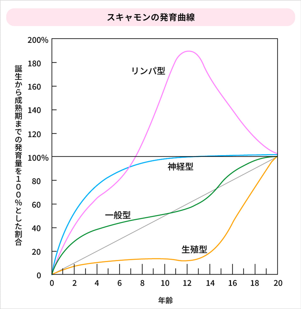 スキャモンの発育曲線