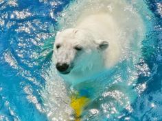 愛媛県立とべ動物園