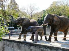 愛媛県立とべ動物園