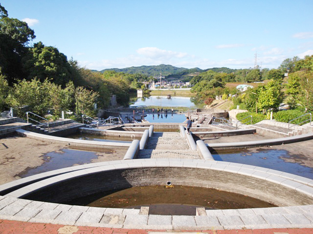 市制50年記念公園(市民の森フラワーパーク)