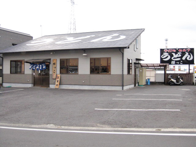 うどん　根っこ