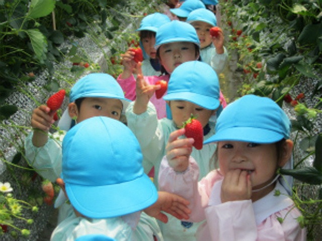 私立　認定こども園エンゼル幼稚園