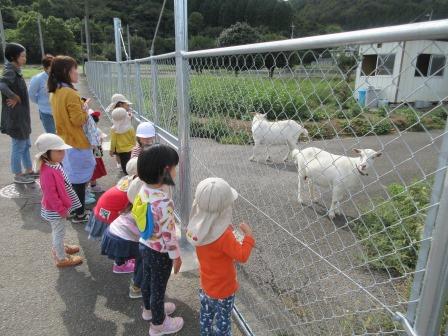 私立　シオン幼稚園