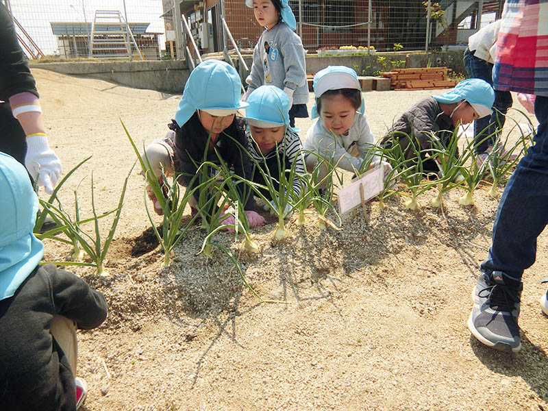 私立　認定こども園コモドまさき園