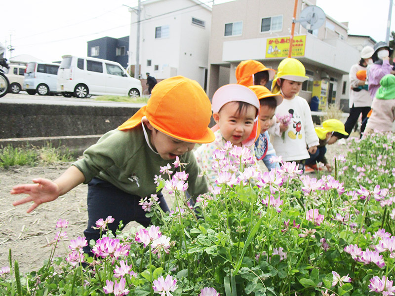 私立　ひよこ保育園