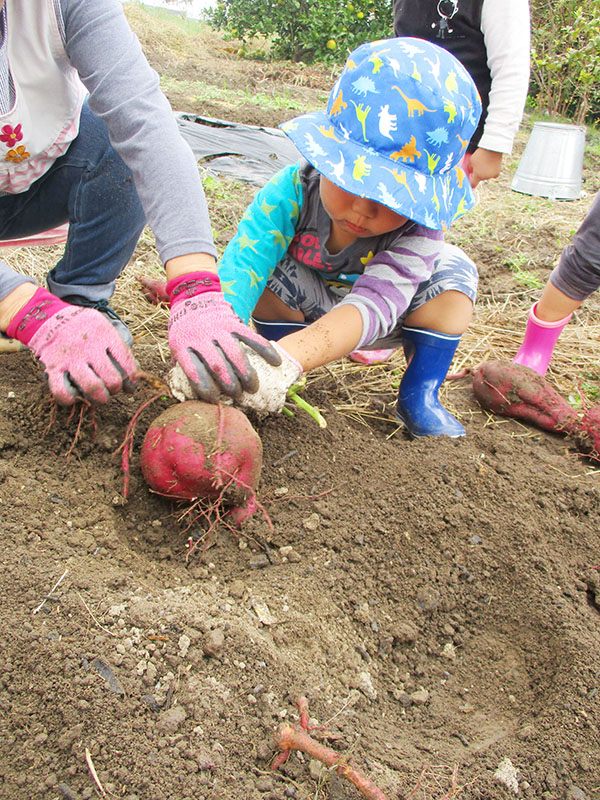 まんぼう小規模保育園