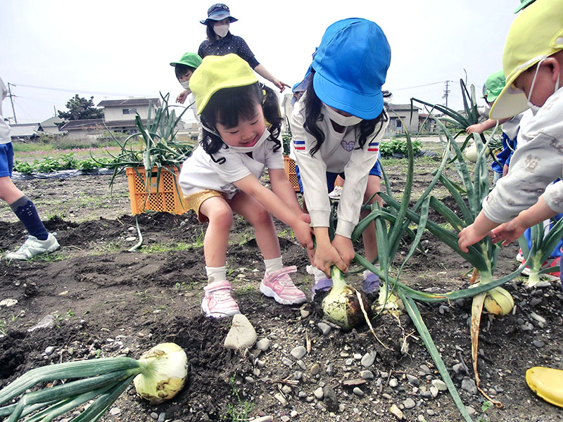 松前町立松前幼稚園