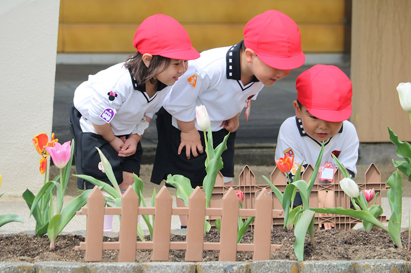 私立　済美幼稚園