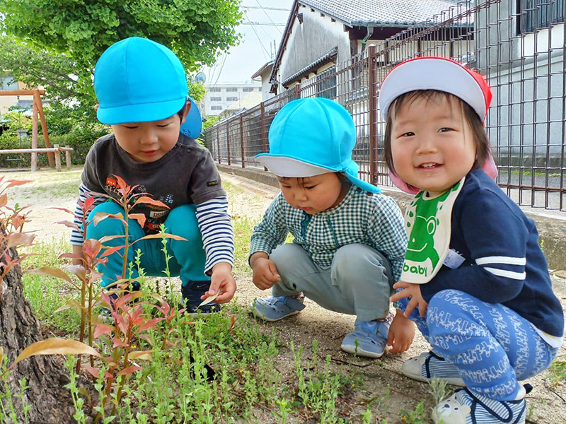 私立　小規模保育園みその