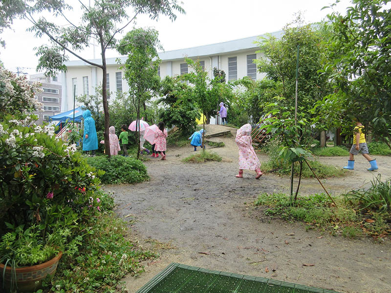 私立　学校法人　山越学園　認定こども園　すみれ幼稚園